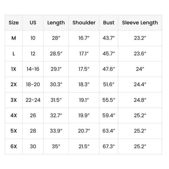 BloomChic Women's Blouse Blue Swiss Dot Top Size 18-20 NWT - Picture 3 of 3